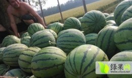 怀仁网红大瓜最新消息,揭秘背后惊人真相，网友热议不断！